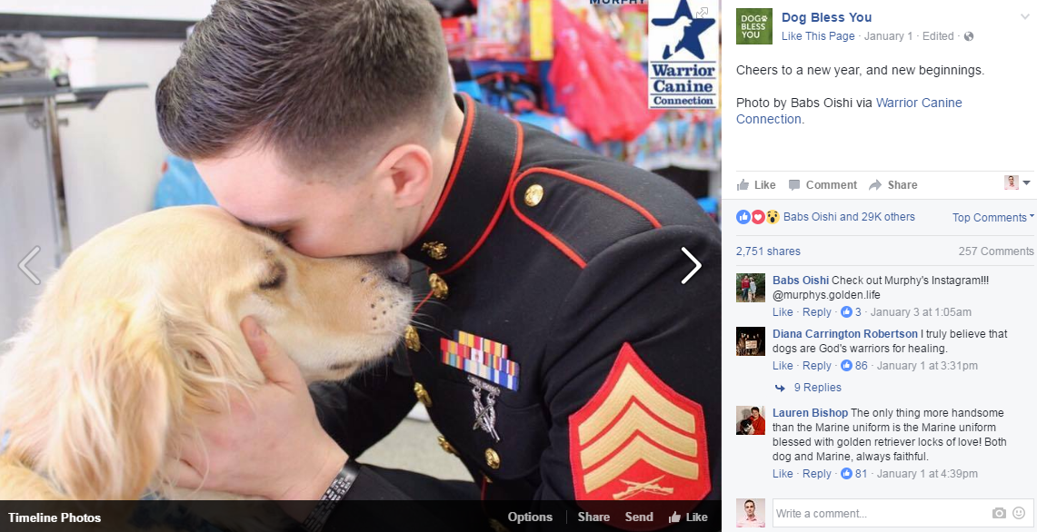 warrior canine connection viral facebook post