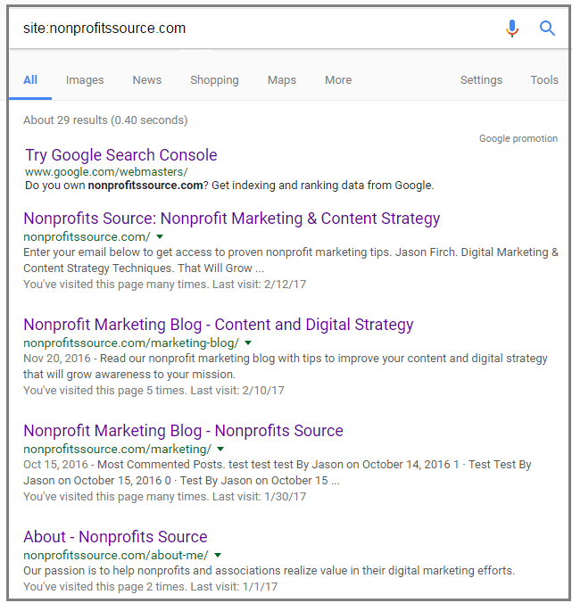 site search on google