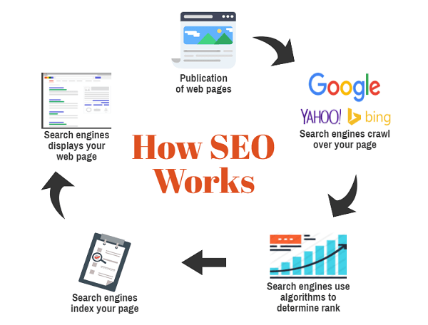 Those 9 Search engine optimization to Rank in Google 1