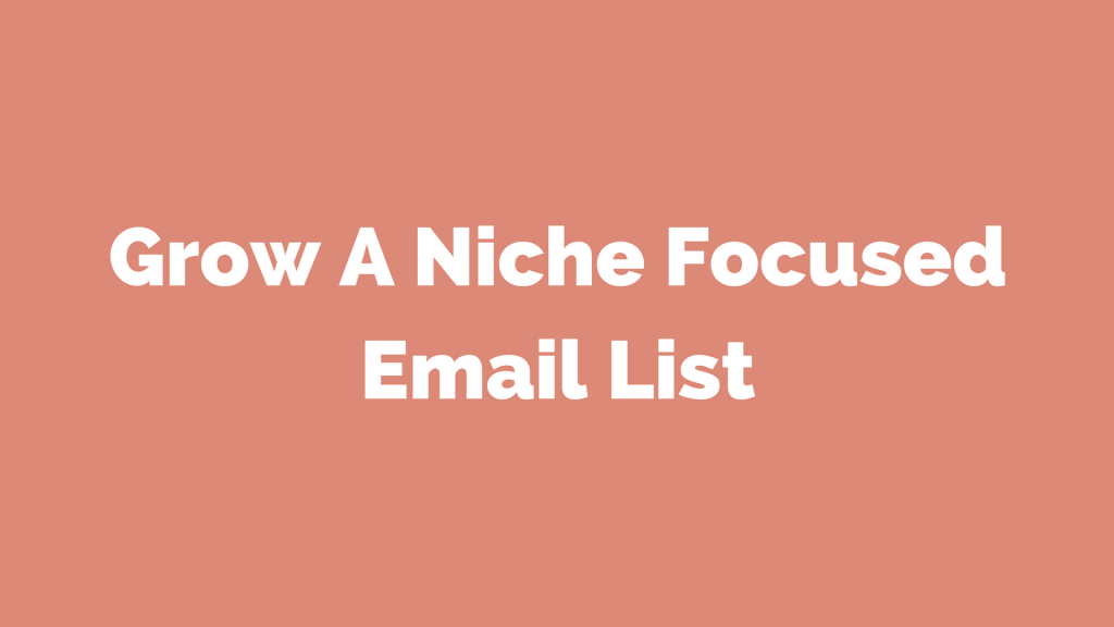 How To Grow A Niche Focused Email List - Nonprofits Source