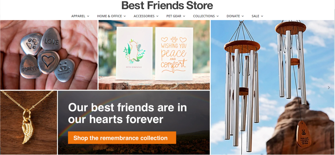 A nonprofit's merchandise eStore as an example of graphic design.