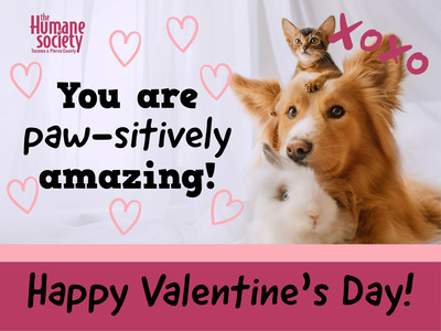 Spread some love on Valentine's Day with online greeting cards branded to your cause.